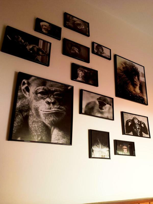 The Mellow Monkey Hostel Zadar Luaran gambar